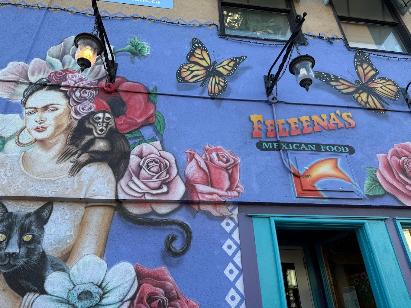 Feleena's Mexican Restaurant exterior on Bank Street, Ottawa